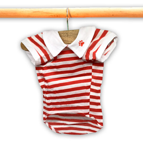 polera para perro con rayas y botones