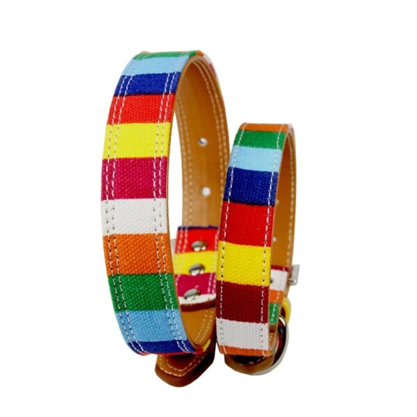 Collar para perros - Rayas de colores