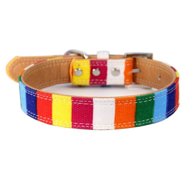 collar para perros y gatos de eco cuero