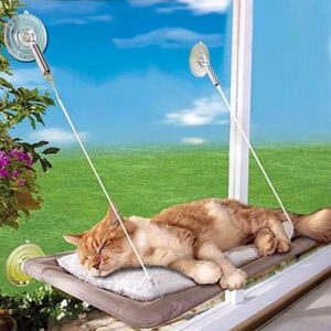 Cama Hamaca para gatos - ventana