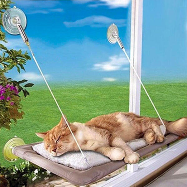 Cama Hamaca para gatos - ventana