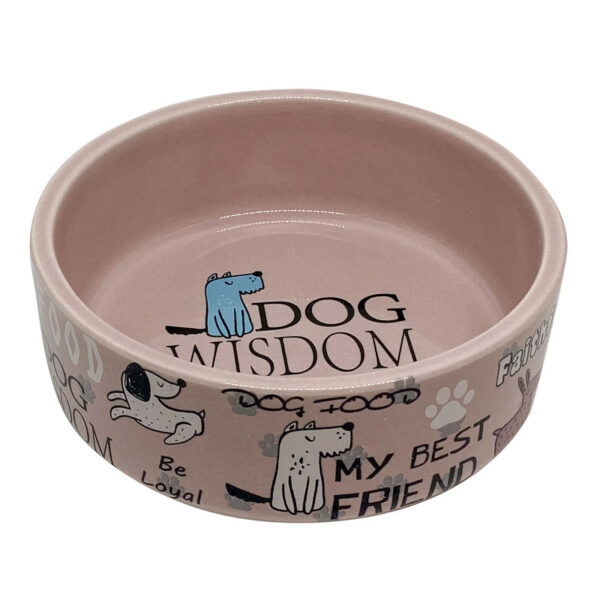 Plato para perros pequeños - ceramica
