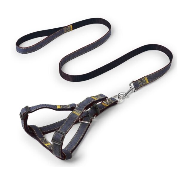 Arnes Colors con correa para Perros negro