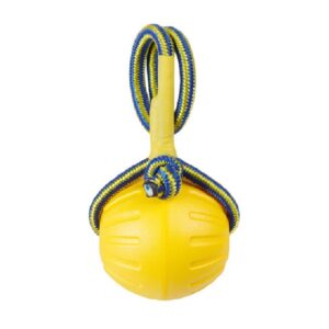 pelota de goma para perros