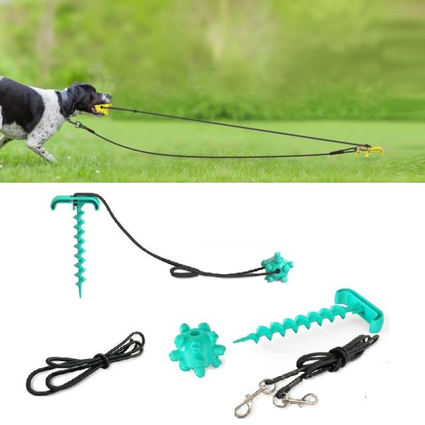 Pelota FUN STAKE con cuerda elastica para perros