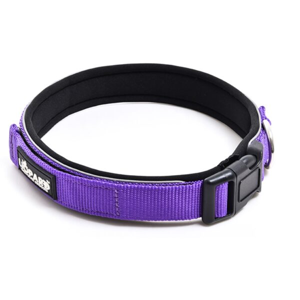 collar para perro