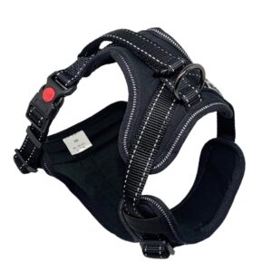 Arnes Chest&Back Reflectante Negro para Perros