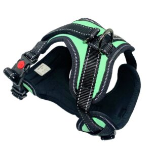 Arnes Chest&Back Reflectante Turquesa para Perros