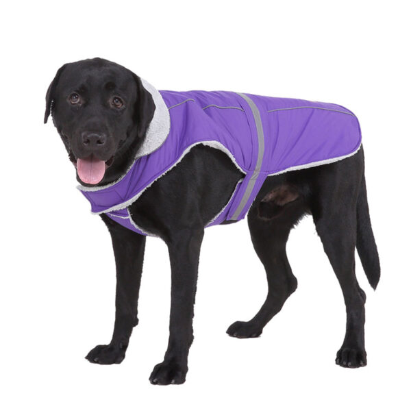 Parka Cierre Velcro Morado, Big Size