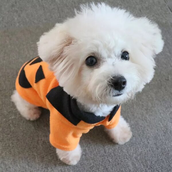 disfraz halloween para perros y gatos