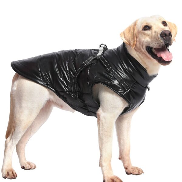 parka impermeable para perros grandes