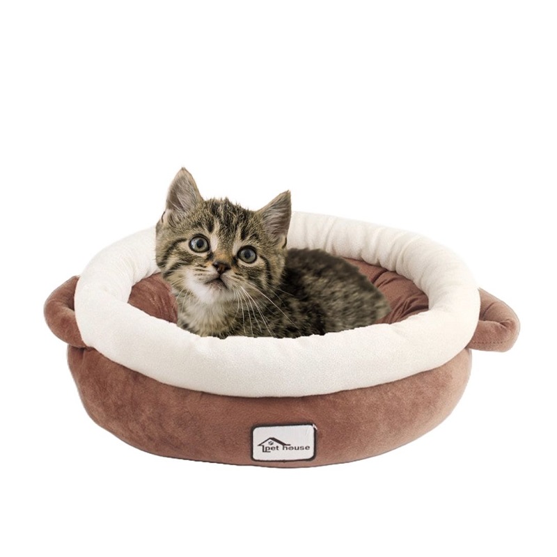 Cama nido gato 2025