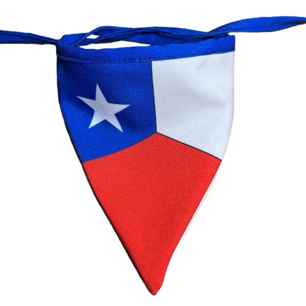Bandana Bandera Chilena para Perros y Gatos - Imagen 2