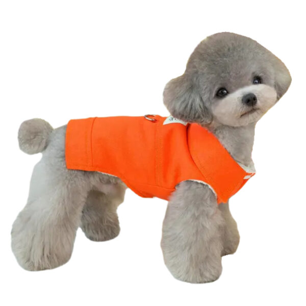 Perro con ropa de invierno